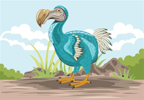 Cute Dodo Bird Illustration 147116 Vector Art at Vecteezy