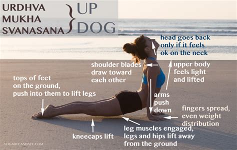 Tips for Upward Facing Dog — YOGABYCANDACE