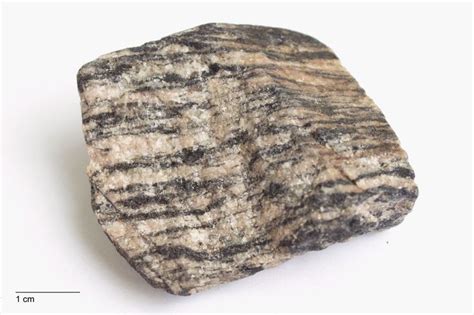 Gneiss | Rock types, Gneiss, Rock