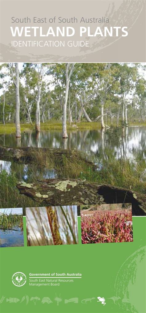 to access Wetland Plants Identification Guide - South East Natural ...