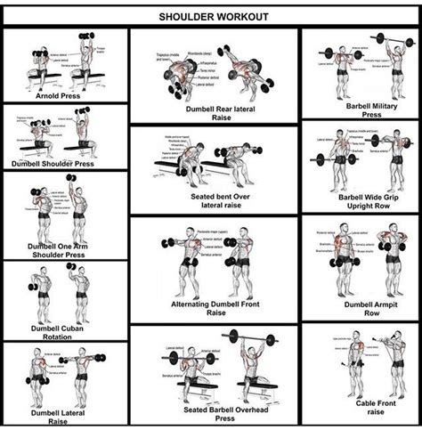 Shoulder Workout Chart For Men