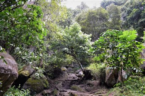 The Silent Stories of The Rocks of Edakkal Caves Wayanad, Kerala, India