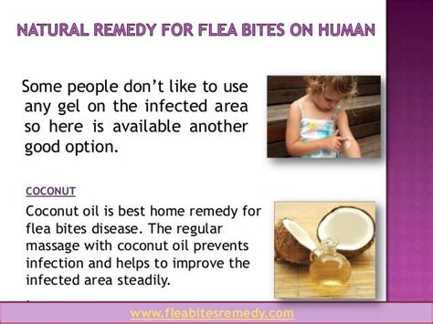 Flea Bites Remedy