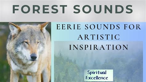 Forest Sounds: Eerie Sounds for Artistic Inspiration - YouTube