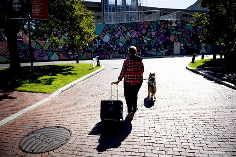 Meet the alumna who raises Northeastern’s King Husky mascot - News ...