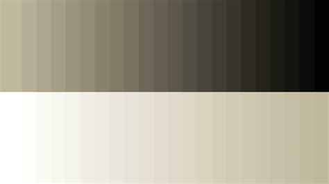 Color palette wheat 16854548 Vector Art at Vecteezy