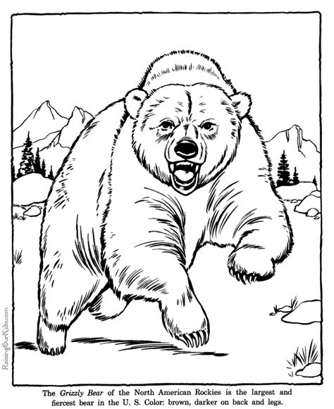 Grizzly Bear coloring pages - Zoo animals