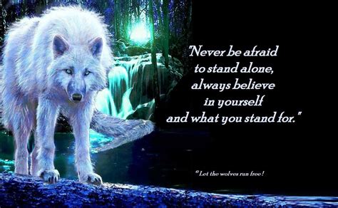 Timeline Photos - Let the wolves run free. | Facebook | Wolf pack ...