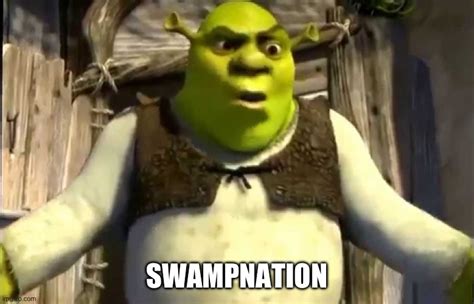 Shrek What are you doing in my swamp - Imgflip