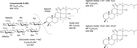 Chemical structure of lessonioside A (95, left) and supposed aglycon... | Download Scientific ...