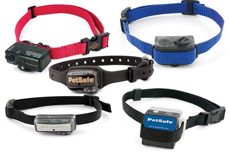 Petsafe Bark Collar Shopping Guide - Top 5 Recommend