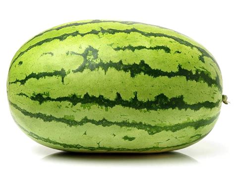 Floriculture Greens Watermelon / Tarbuj Fruit Organic F1 Hybrid Seeds For Home Gardening ...