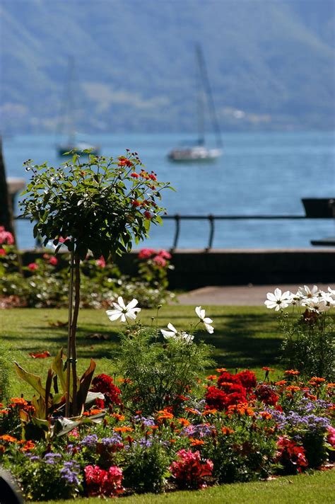 Our city: Vevey, Switzerland. | Vevey, Lake geneva, Beautiful lakes