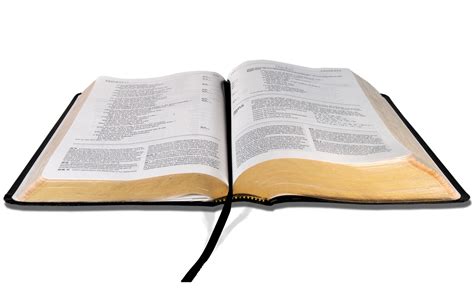 Bible PNG Transparent Images | PNG All