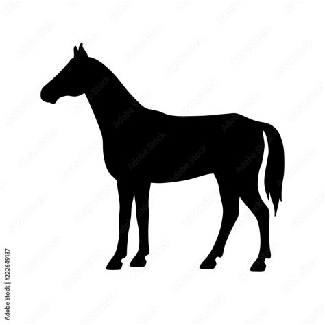 Isolated black silhouette of standing horse on white background. Side ...