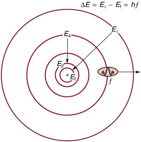 Bohr’s Theory of the Hydrogen Atom | Physics