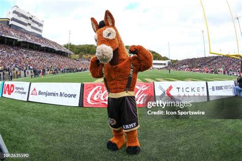 Army Mascot Photos and Premium High Res Pictures - Getty Images