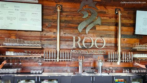 Roo Mountain Vineyards in Ellijay GA 🍷 | Ga Mountains Guide