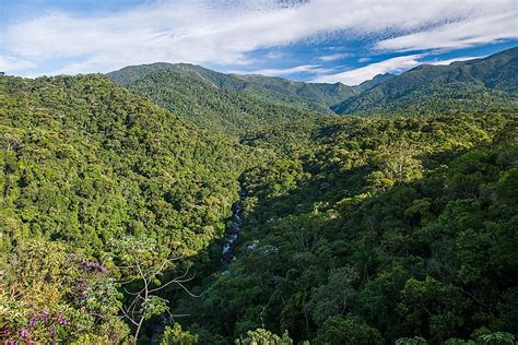 The Biodiversity Hotspot of the Atlantic Forest - WorldAtlas