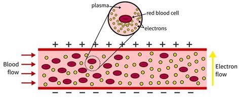 Measuring blood damage in real-time • healthcare-in-europe.com