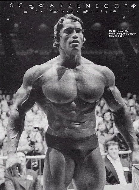 Image detail for -sylvester stallone bodybuilding. sylvester stallone ...