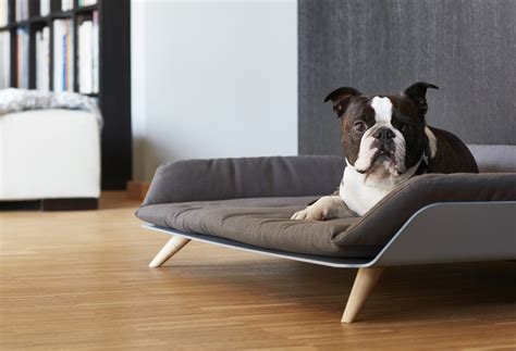 Canapé lit pour chien - Maison mobilier jardin