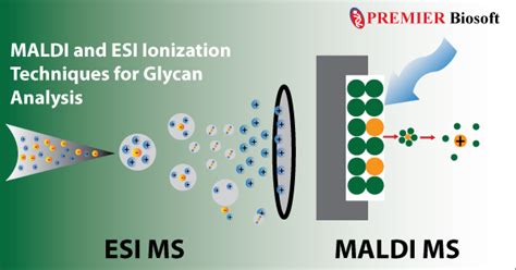 MALDI & ESI Ionization Methods with Tandem Mass Spectrometry for Glycan ...