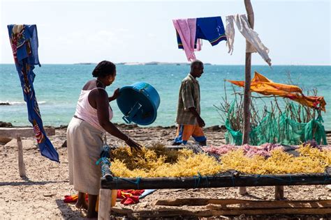 What global conservation lessons can be learnt from Madagascar? - Blue Ventures - Beyond ...