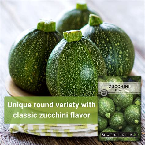 Round Zucchini Seeds for Planting | Make Stuffed Squash – Sow Right Seeds