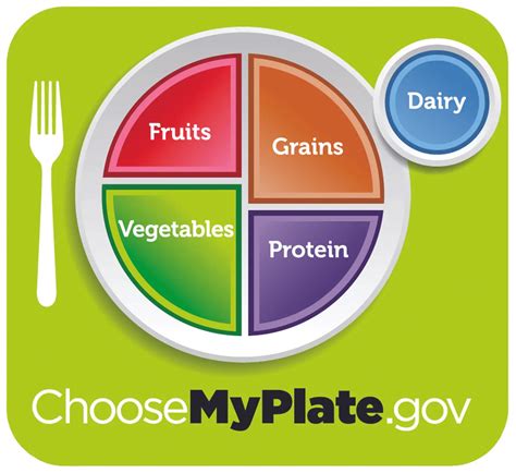 Grades 2-3 Lesson Plan: MyPlate Meets My Favorite Meal