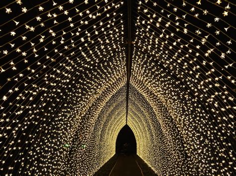 In Photos: Christmas At Kew's 2022 Light Trail | Londonist