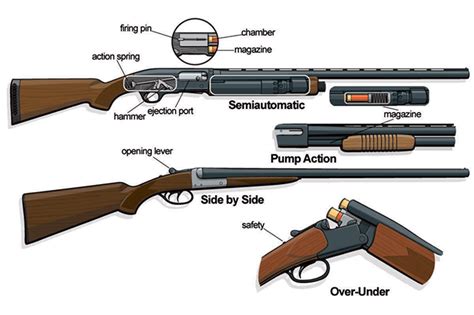 Types Of Shotgun Shells