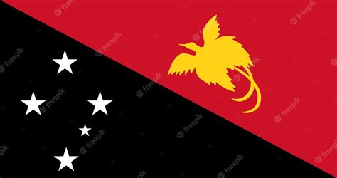 Premium Vector | Papua flag in vector