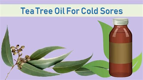 Tea Tree Oil For Cold Sores: Benefits And Ways To Use