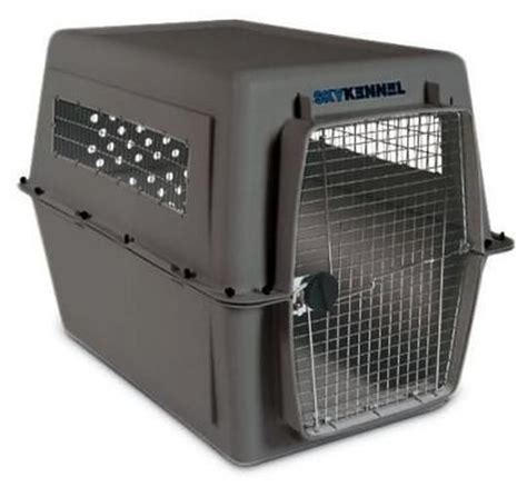 Petmate Sky Kennel Airplane Travel Crate 48" XXL Large | Dog travel crate, Dog crate sizes ...