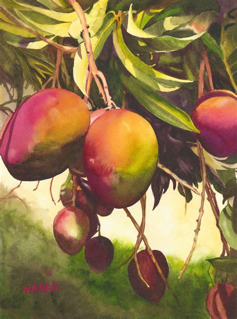 Mango Tango - Christine Waara Fine Art Studio of Maui