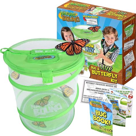 Amazon.com: butterfly hatching kit