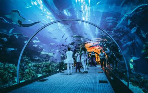 Burj Khalifa At The Top And Aquarium Tickets - Aquarium Views