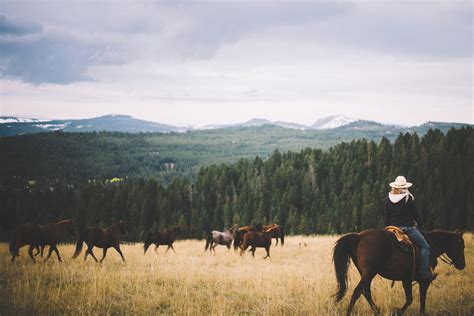 Summer Discovery | Lone Mountain Ranch Packages | MontanaLone Mountain ...