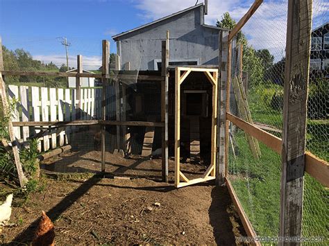 Installing Chicken Run Door - Outdoor Aviary