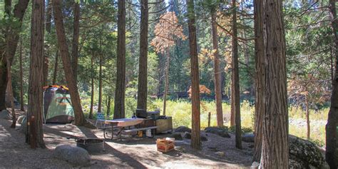 Wawona Campground - Yosemite National Park - camping in California