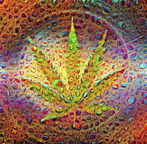 Marijuana Leaf Digital Art by Bruce Rolff - Pixels