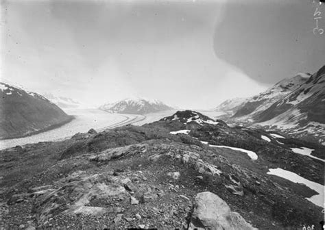 Looking up Nunatak Glacier from crest of Gannett Nunatak: Historic Glacial Images of Alaska and ...