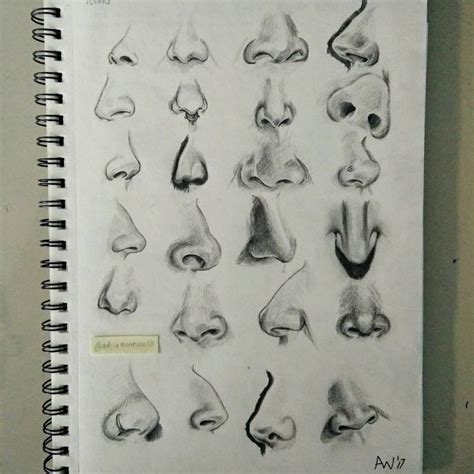 70+ Drawings Of Noses: Sketches, Studies & Sketchbook Examples