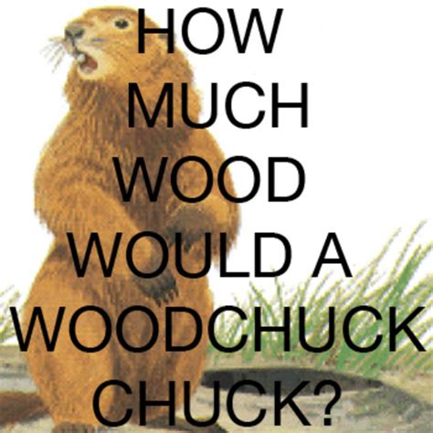 How Much Wood Would A Woodchuck Chuck? | Danielle Ate the Sandwich