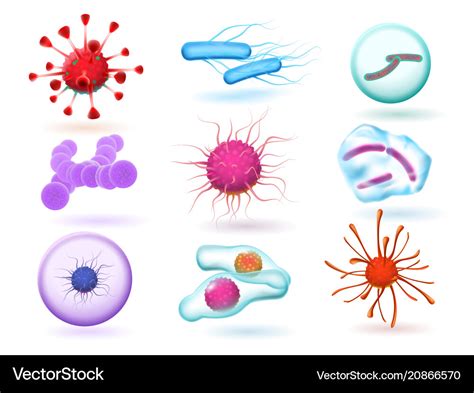 Vector Microbiology Examples - canvas-canvaskle