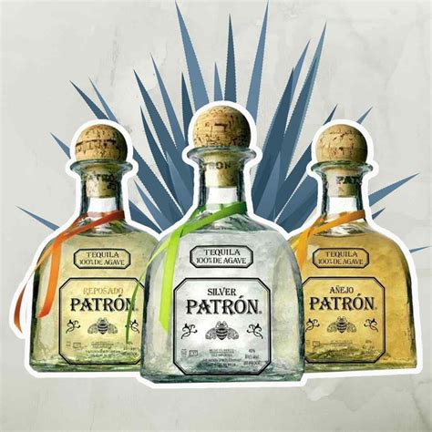 A Guide to Patrón Tequila | Cocktail Society