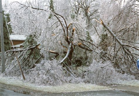 Ice Storm Damage on Maiden Lane - Town of Greece Historical Images