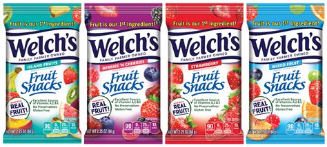 Welch's Fruit Snacks | Van Wyk Confections