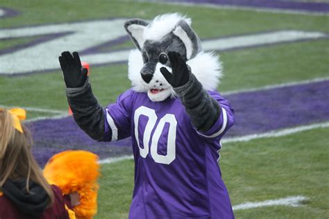 Northwestern University's mascot: Willie the Wildcat | Flickr - Photo Sharing!